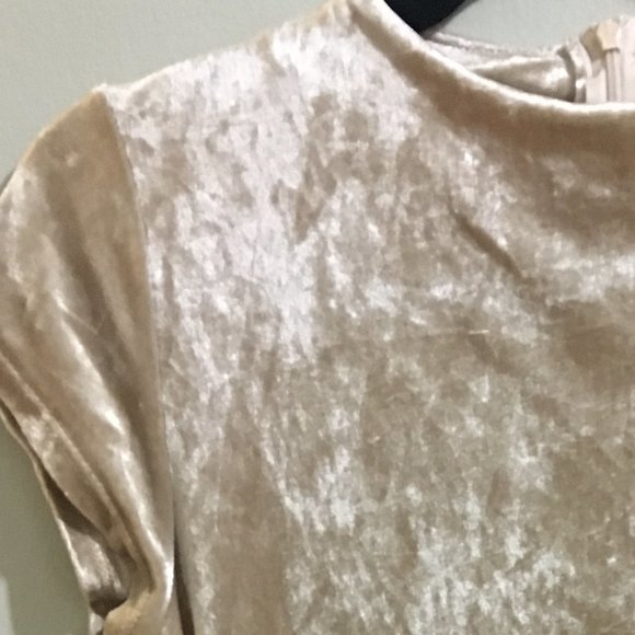 Cream Velvet Short Sleeve Dress - Item#26 - Picture 3 of 5